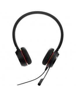 JABRA Evolve 20, Stereo MS, USB C/A adapter