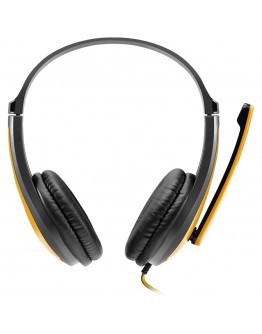 CANYON entry price PC headset, combined 3,5