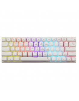 White Shark геймърска механична клавиатура Gaming Mechanical Keyboard WAKIZASHI 2 - Blue Switches (English US), White