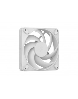 FD MOMENTUM 12 WHITE