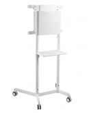 Neomounts Mobile Flat Screen Floor Stand (height: 