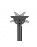 Neomounts Flat Screen Ceiling Mount (Height: 250-3