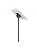 Neomounts Flat Screen Ceiling Mount (Height: 250-3