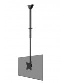 Neomounts Flat Screen Ceiling Mount (Height: 106-1