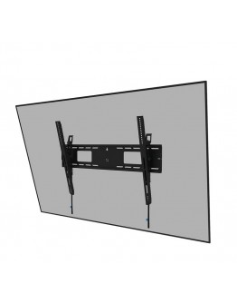 Neomounts Level-750 Wall Mount (XL, 100 kg, tiltab