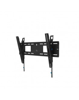 Neomounts Level-750 Wall Mount (XL, 125 kg, tiltab