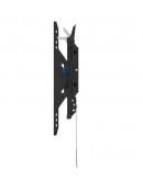 Neomounts Level-750 Wall Mount (XL, 125 kg, tiltab