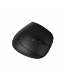 CANYON mouse MW-25 Ergonomic LED AA Dual mode