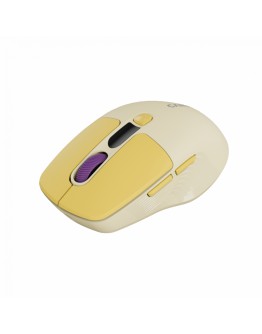 CANYON mouse MW-26 LCD Silent Dual Mode Wireless