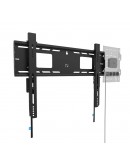 Neomounts Level-750 Wall Mount (XL, 125 kg, kickst