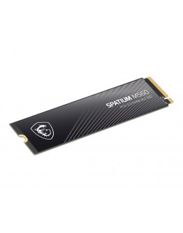MSI SPATIUM M560 1T PCIE5.0