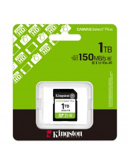 1TB SD KINGST CANVAS SEL+ G3