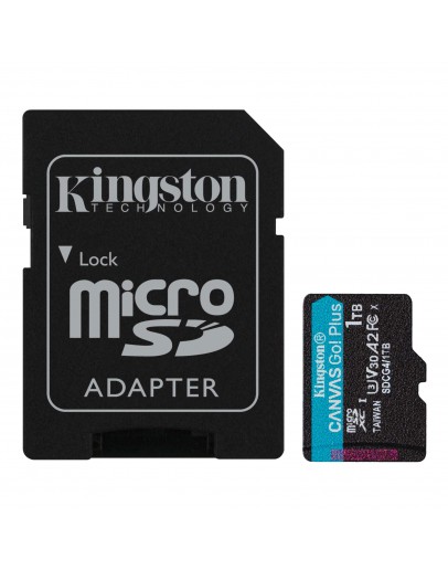 1TB SDMIC KINGST CANV GO+ G4
