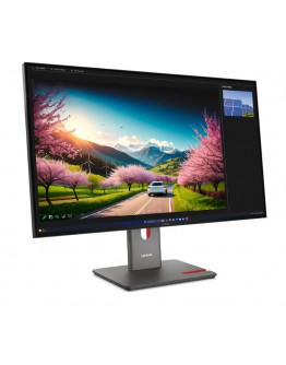 Монитор Lenovo ThinkVision P32UD-40 31.5 IPS, WLED, 3840x2