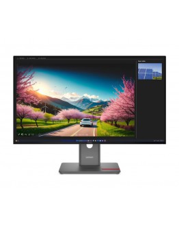 Монитор Lenovo ThinkVision P32UD-40 31.5 IPS, WLED, 3840x2
