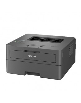 Brother HL-L2442DWYJ1 Laser Printer