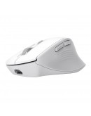TRUST Niven Comfort Multi-Wireless Mouse White