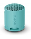 Sony SRS-XB100 Portable Bluetooth Speaker