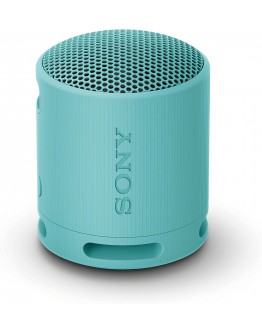 Sony SRS-XB100 Portable Bluetooth Speaker