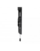 Neomounts Level-850 TV mount wall 40-75