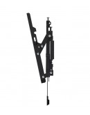 Neomounts Level-850 TV mount wall 24-65