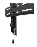 Neomounts Level-850 TV mount wall 42-86