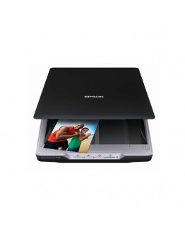 Epson Perfection V19