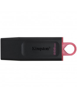 KINGSTON 256GB USB3.2 Gen1 DataTraveler Exodia