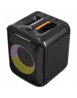 F&D PA100 Portable Wireless Party Speaker, 40W