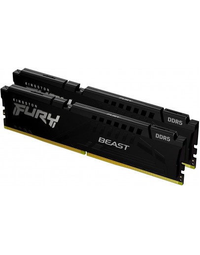 2X8G DDR5 5600 KING FURY BEAST