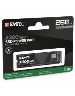 EMTEC X300 256G M2 PCIE3