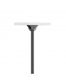 Neomounts Back-to-Back Screen Ceiling Mount (Heigh