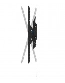 Neomounts Level-750 Wall Mount (XL, 100 kg, tiltab