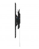 Neomounts Level-750 Wall Mount (XL, 100 kg, tiltab