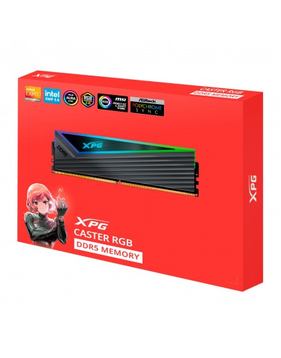 16G DDR5 6000 XPG CASTER RGB