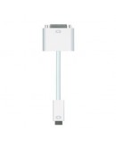 Apple Mini DVI to DVI Adapter