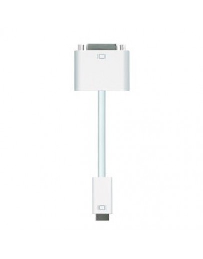 Apple Mini DVI to DVI Adapter