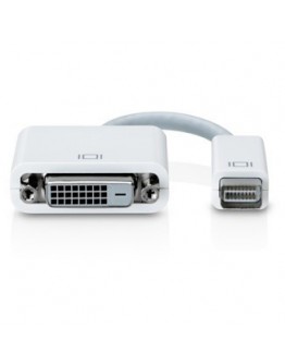 Apple Mini DVI to DVI Adapter